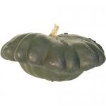 Starship (G-Star) F1 BIO